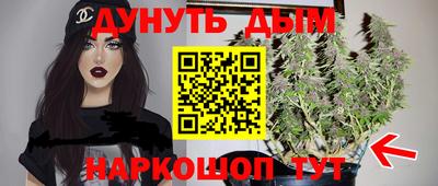 шишки Будённовск