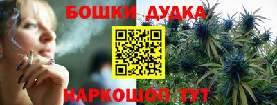 шишки Будённовск