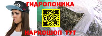 шишки Будённовск