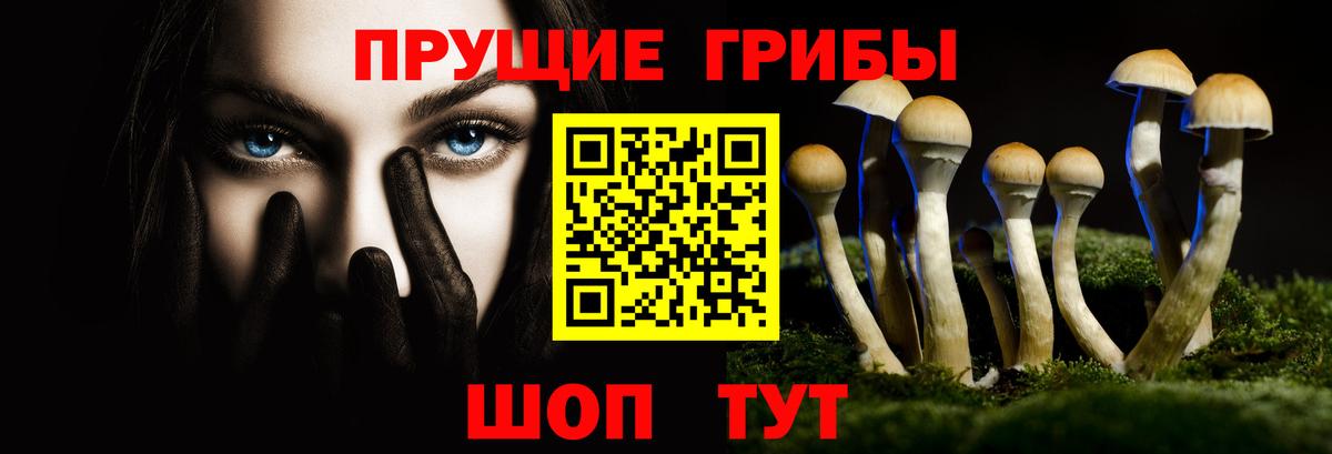 Миллерово  Псилоцибиновые грибы прущие грибы  Галлюциногенные грибы прущие грибы  Вход с VPN 